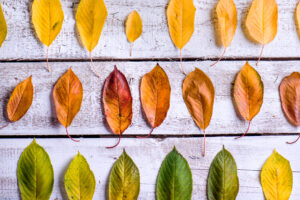 Seasonal Billboard Design | Pivoting from Summer Heat to Fall Comfort
