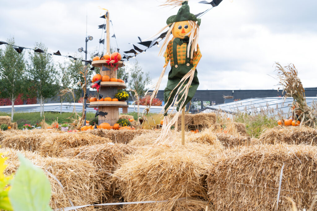 Fall Festival Billboards