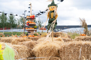 Fall Festival Billboards